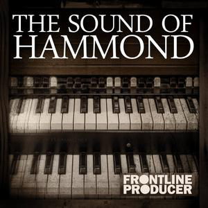 Frontline Producer – The Sound Of Hammond WAV REX