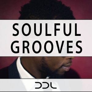 [Funk风格采样]Deep Data Loops Soulful Grooves WAV MiDi