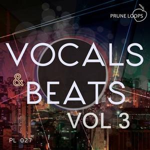 Prune Loops – Vocals & Beats Vol 3 WAV MiDi