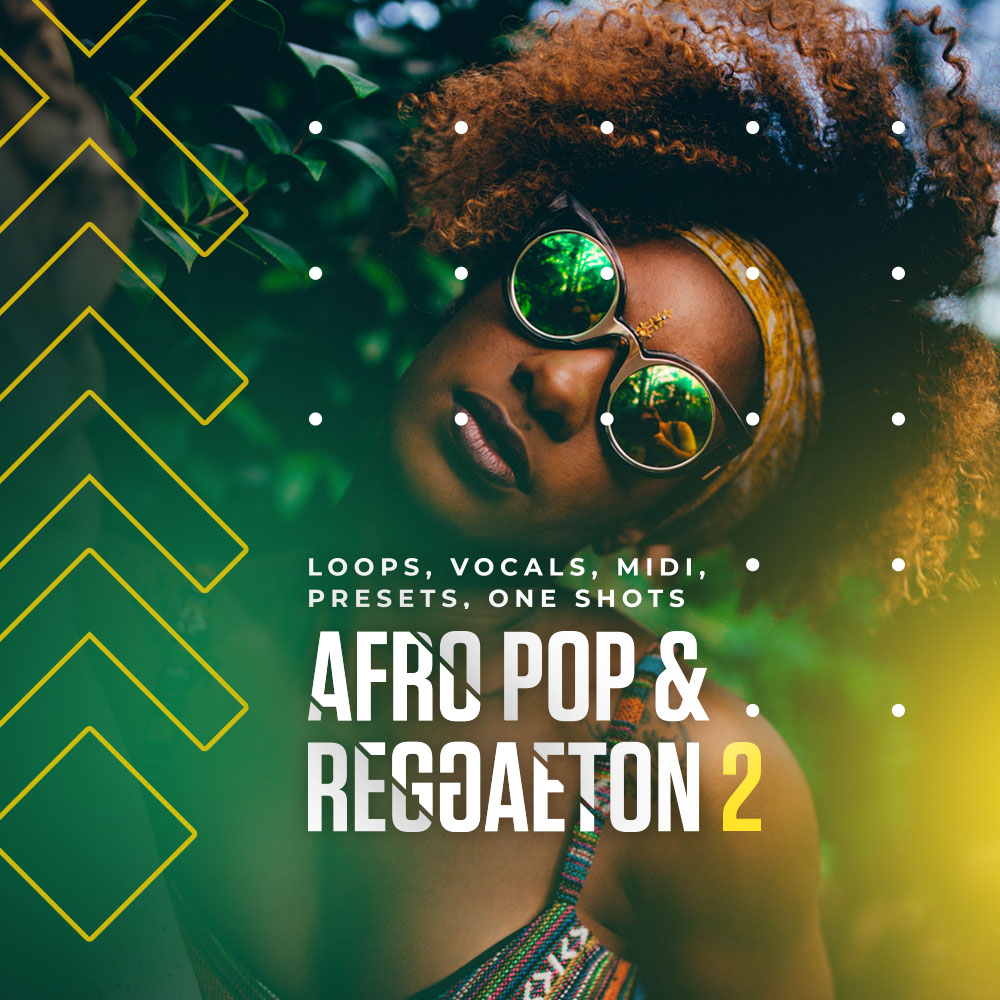 Diginoiz Afro Pop And Reggaeton 2 WAV MiDi