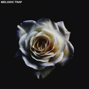 [新手必备]Modern Samples – Melodic Trap
