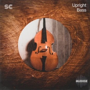 Sonic Collective Upright Bass WAV-FANTASTiC